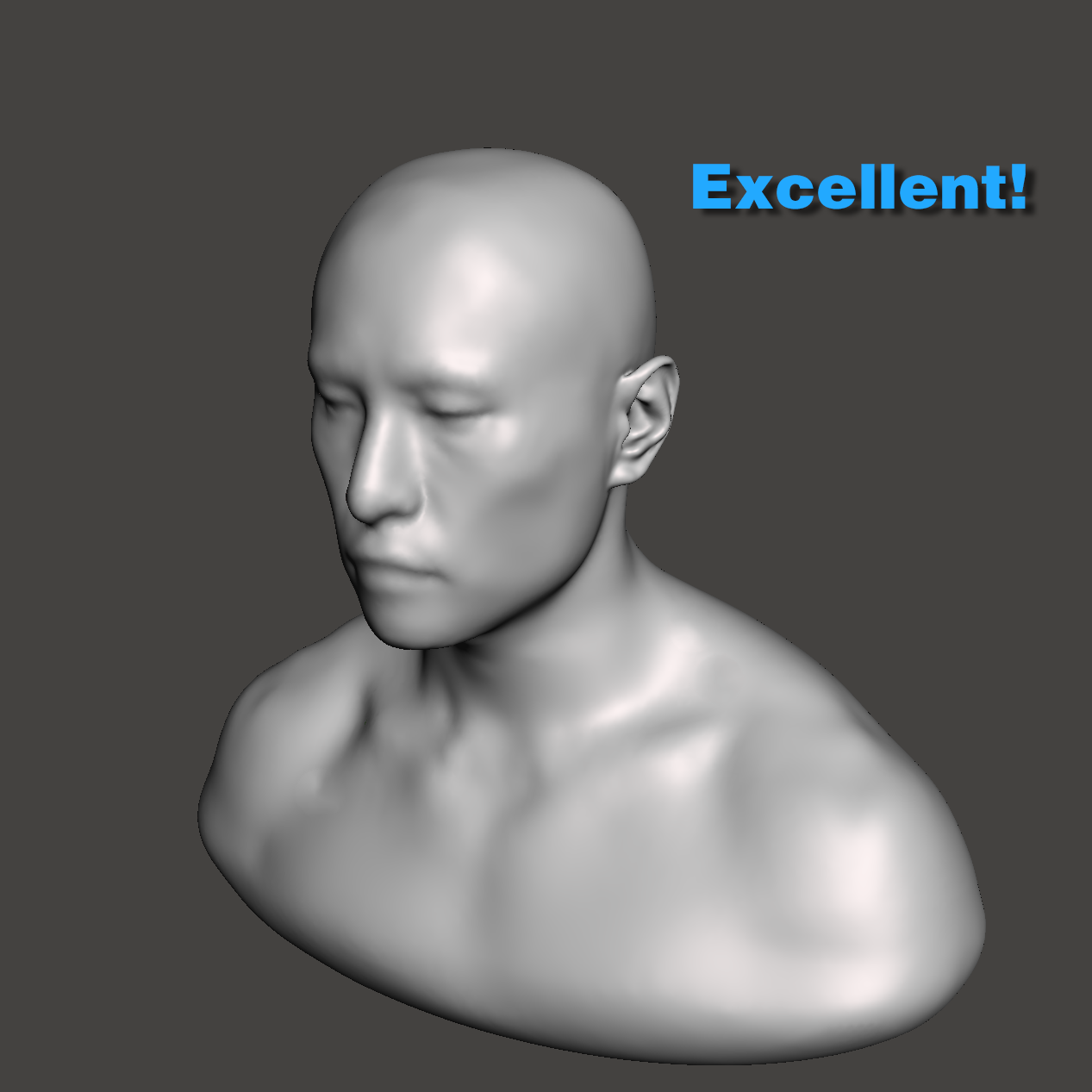 Complete head and upper torso scan reference